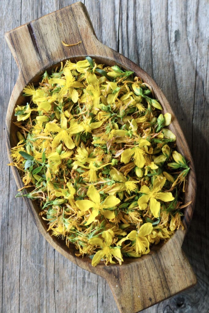 A bowl of fresh St. John's Wort flower petals